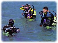 Diving in the Red Sea