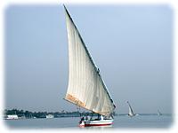 Feluccas on the Nile.